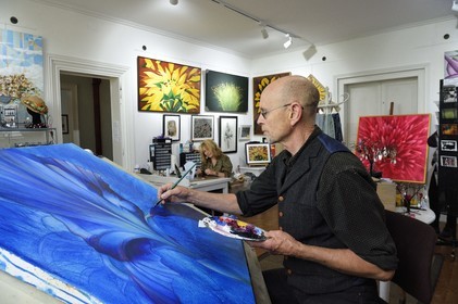 France, Charente-Maritime, Saintonge, Saint Savinien, labeled stones and water villages, Au Quai des Fleurs bed and breakfast and workshop