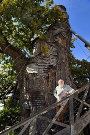 France, Seine-Maritime, Pays de Caux, Allouville Bellefosse, the 9th century oak is the oldest in France, it houses in its trunk two small chapel, Roger Devaux, historical correspondent of the courrier Cauchois who played in the film The Oak of Allouville
