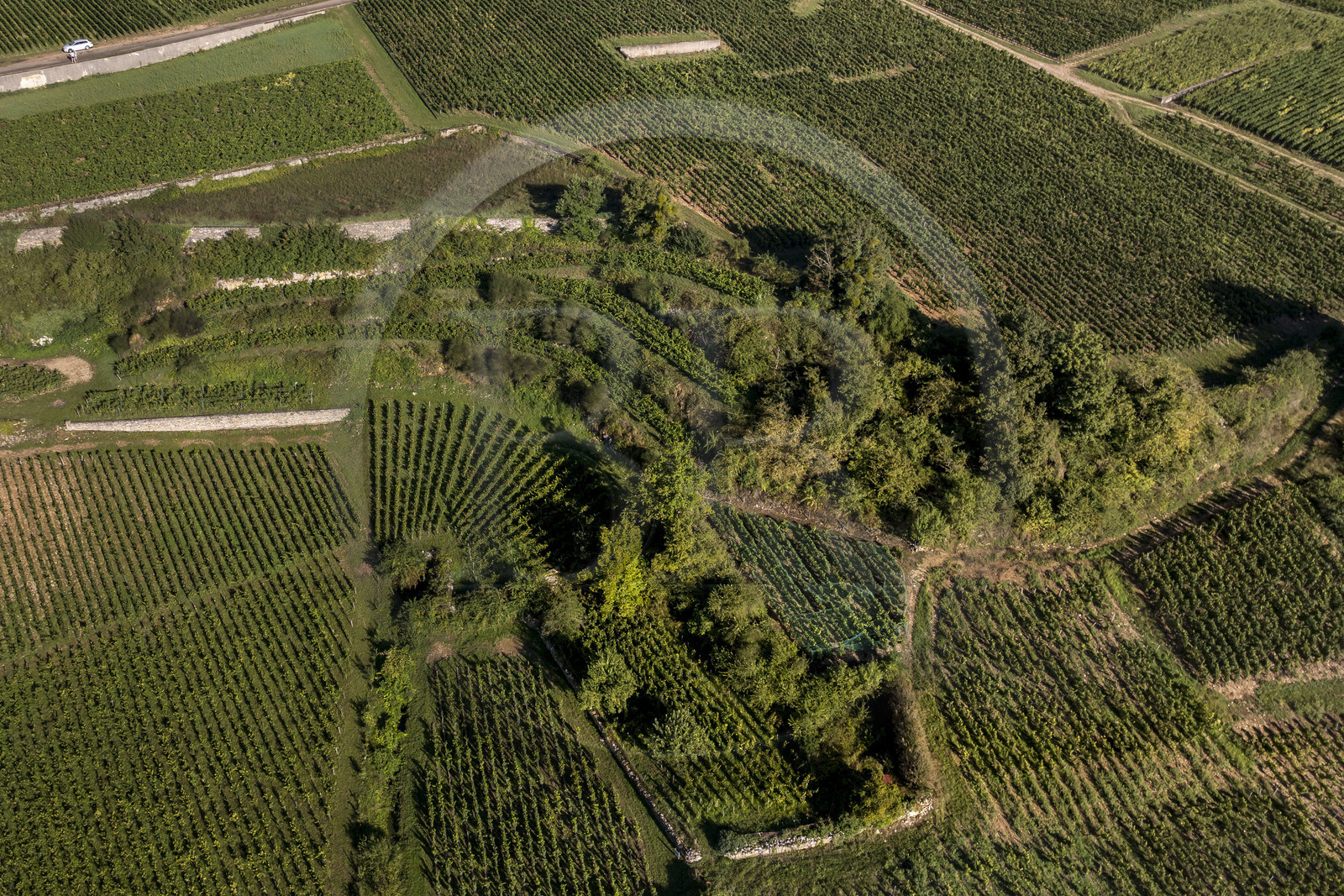 France, Côte-d'Or (21), Paysage culturel des climats de Bourgogne classés Patrimoine Mondial de l'UNESCO, Route des Grands Crus, vignoble de la Côte de Nuits à Vougeot,