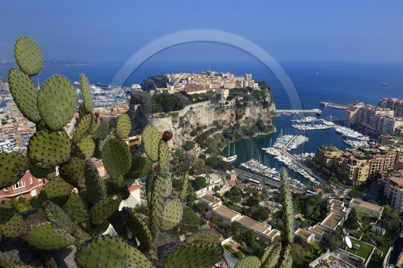 Principauté de Monaco, Monaco, le Jardin Exotique regroupant plusieurs milliers d'espèces de plantes succulentes, le Rocher et le port de Fontvieille en arrière plan Principauté de Monaco, Monaco, le Jardin Exotique regroupant plusieurs milliers d'espèces de plantes succulentes, le Rocher et le port de Fontvieille en arrière plan