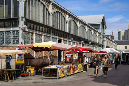 France, Côte-d'Or (21), Dijon, zone classée Patrimoine Mondial de l'UNESCO, les halles centrales, marché couvert