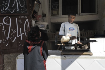 Morocco, Middle Atlas, Fez, Imperial City, Fez El Bali, medina listed as World Heritage by UNESCO, chicken salesman in a small shop