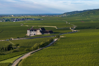 France, Cote d'Or, cultural Landscape of the climates of Burgundy listed as World Heritage by UNESCO, Route des Grands Crus (road of Vintage Wines), vineyard of the Côte de Nuits, Vougeot, the Chateau of Clos de Vougeot surrounded by vineyards (aerial view)