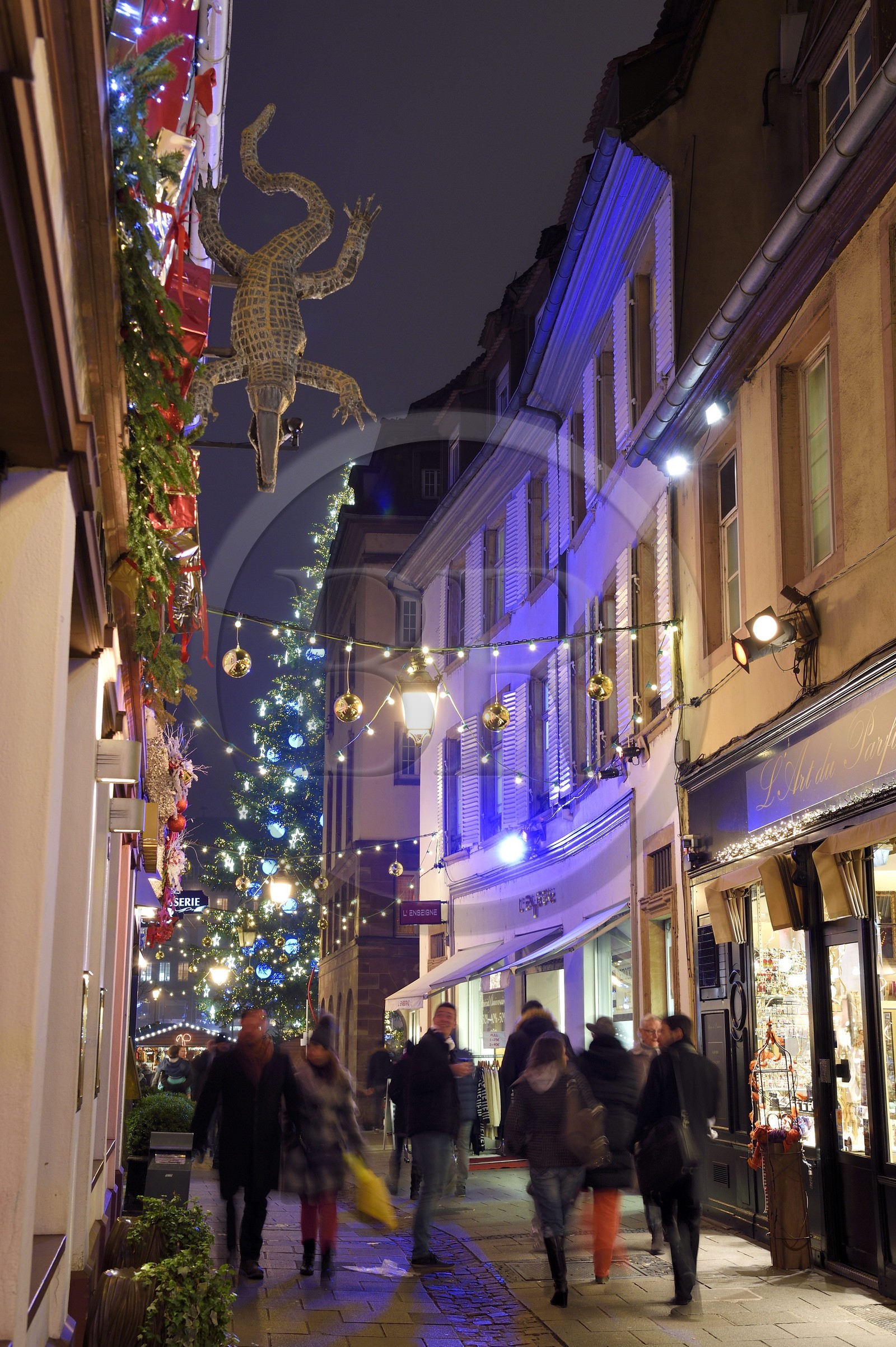 France, Bas-Rhin (67), Strasbourg, vieille ville classée Patrimoine Mondial de l'UNESCO, enseigne du restaurant Le Crocodile dans la rue de l'Outre et le Grand Sapin de Noël de la place Kléber en arrière plan