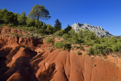 France, Bouches du Rhone, Aix en Provence region, towards the Tholonet, the Sainte Victoire mountain, Cezanne road