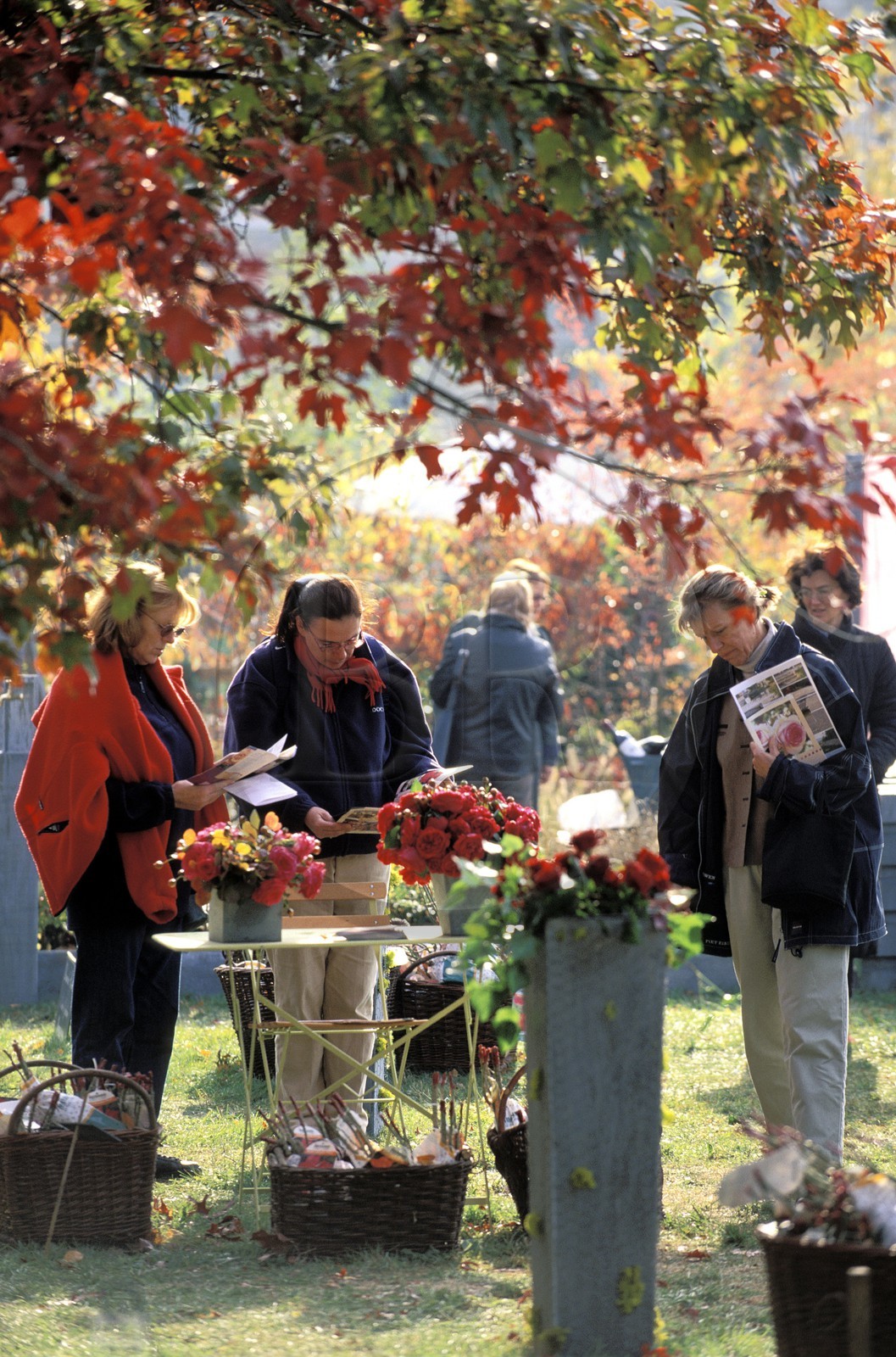 France, Essonne, Courson castle where a huge flower market takes place twice a year