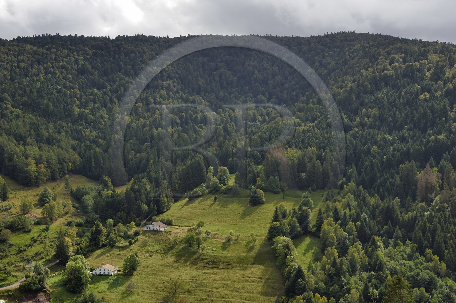 France, Vosges (88), Saint-Maurice-sur-Moselle, la vallée des Charbonniers menant à Gazon Rouge et au sommet de La Tête des Perches