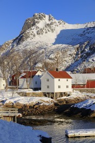 Norvège, Nordland, Îles Lofoten, le port de Svolvaer, maisons en bois