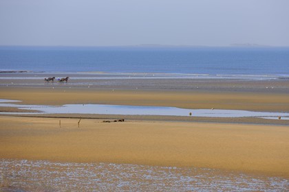France, Manche, Cotentin, Sainte Marie du Mont, Utah Beach where took place the main American landing of D day, trotting carriages on the beach at low tide