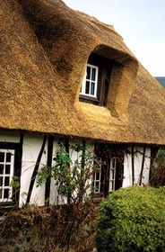 France, Eure, Pont Audemer, house with a traditional thatched roof
