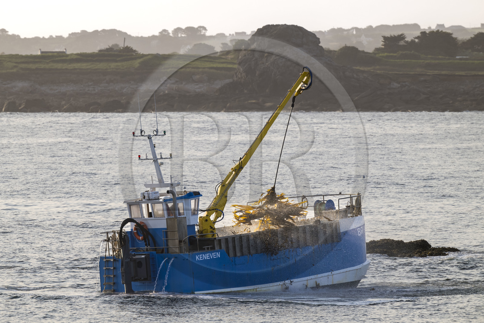 France, Finistère (29), Pays des Abers, Ile Vierge dans l'archipel de Lilia, bateau goémonier utilisant un de ses deux bras mécaniques articulés se terminant par un scoubidou pour récolter des algues marines le goémon