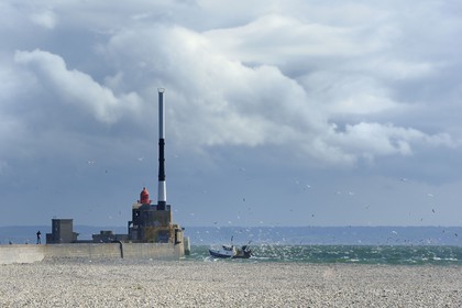 France, Seine Maritime, Le Havre, fishing boat returning to port followed by a flock of seagulls