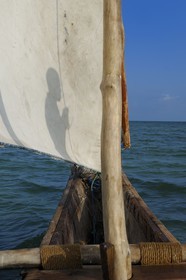 Tanzanie, archipel de Zanzibar, île de Unguja (Zanzibar), côte est, baie de Chwaka vers Michamvi, un dhow (boutre traditionnel)