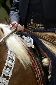 Argentine, province de Buenos Aires, San Antonio de Areco, fête du Jour de la Tradition (Dia de la Tradicion), détail de la sellerie et les bolas (ou boleadoras)
