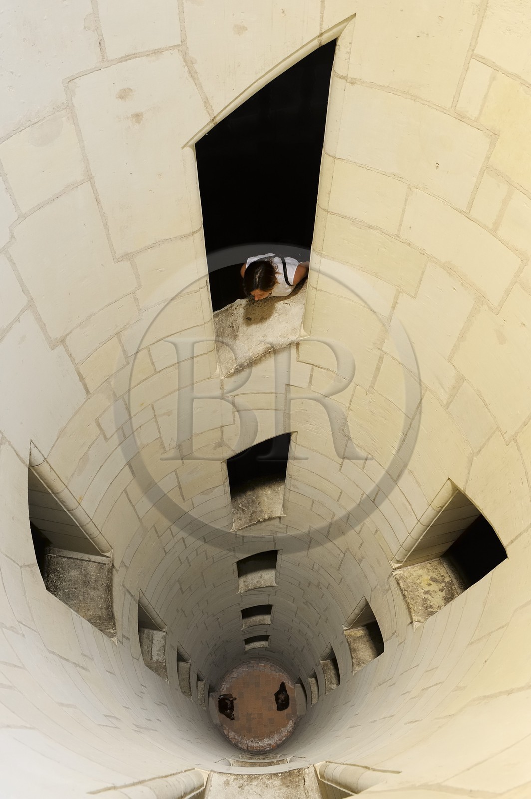 France, Loir et Cher (41), Vallée de la Loire classée Patrimoine Mondial de l' UNESCO, château de Chambord, intérieur du puit central de l' escalier à double révolution attribué à Léonard de Vinci