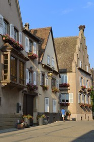 France, Bas Rhin, the Alsace Wine Route, Mittelbergheim, labelled Les Plus Beaux Villages de France (The Most Beautiful Villages of France), gabled house