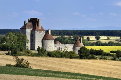 France, Allier (03), ancienne province du Bourbonnais, Besson, chateau de Fourchaud chateau de Fourchaud (XIVe siècle au XVIe siècle) appartenant aujourd'hui aux descendants des Bourbon-Parme