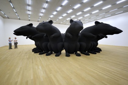 Switzerland, Basel, the Schaulager by the architects Herzog and de Meuron, work of art by the artist Katharina Fritsch Rat-King