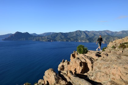 France, Corse-du-Sud (2A), Golfe de Porto, classé Patrimoine Mondial de l'UNESCO, calanches de Piana aux rochers de granit rose depuis le lieu dit du Chateau-Fort, le Capo Senino à gauche en arrière plan