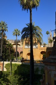 Spain, Andalusia, Seville, the Alcazar of Seville (Reales Alcazares de Sevilla), listed as World Heritage by UNESCO, the gardens and the Palacio Gotico