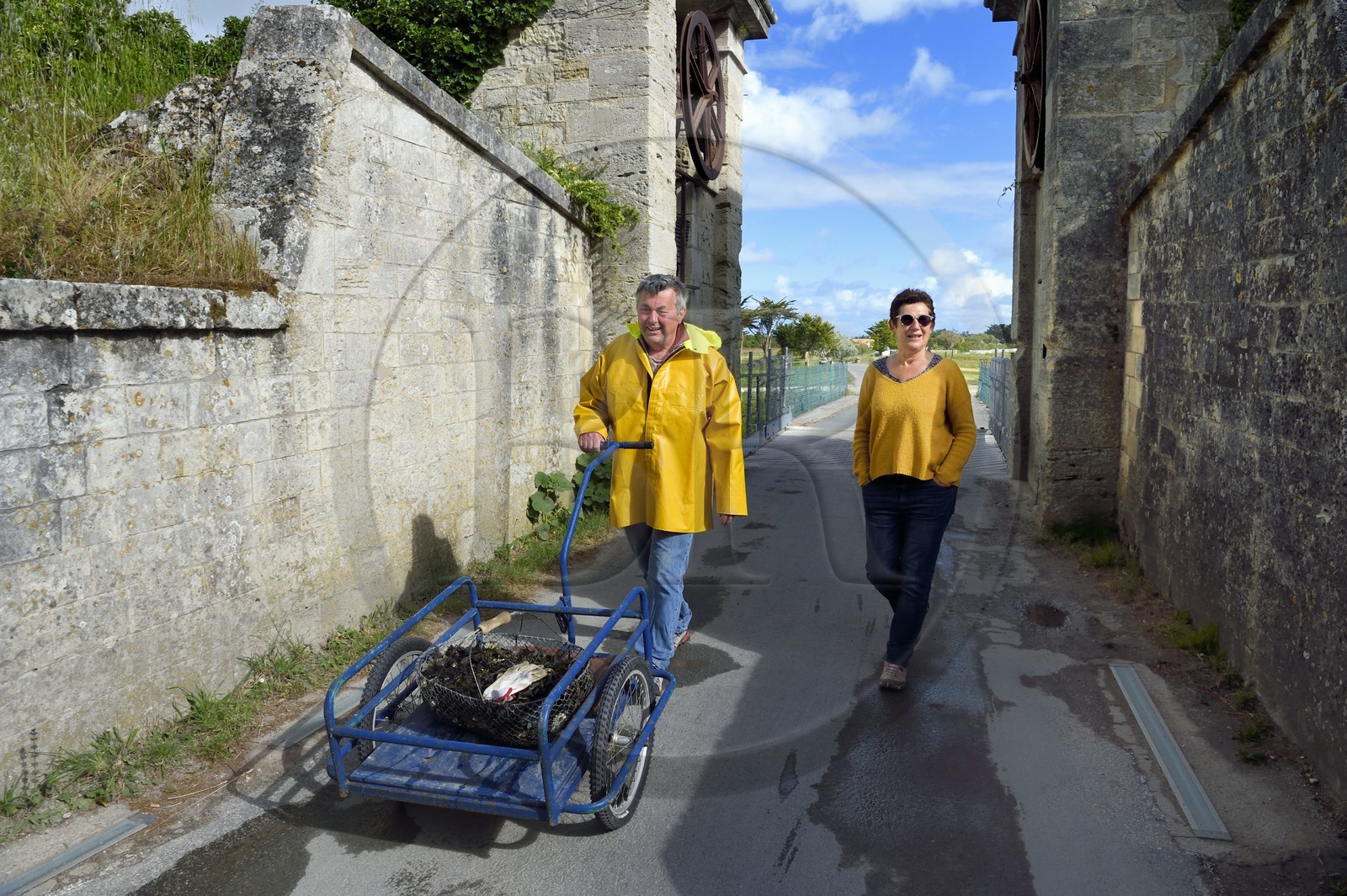 France, Charente-Maritime (17), Ile d'Aix, porte à pont levis du bourg, retour de pêche à pied d'huitres sauvages avec un panier bien rempli