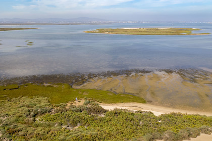 Portugal, Algarve, Parc naturel de la Ria Formosa, Faro, Ile de Barreta ou Deserta (Ilha da Barretta ou Deserta)(vue aérienne)