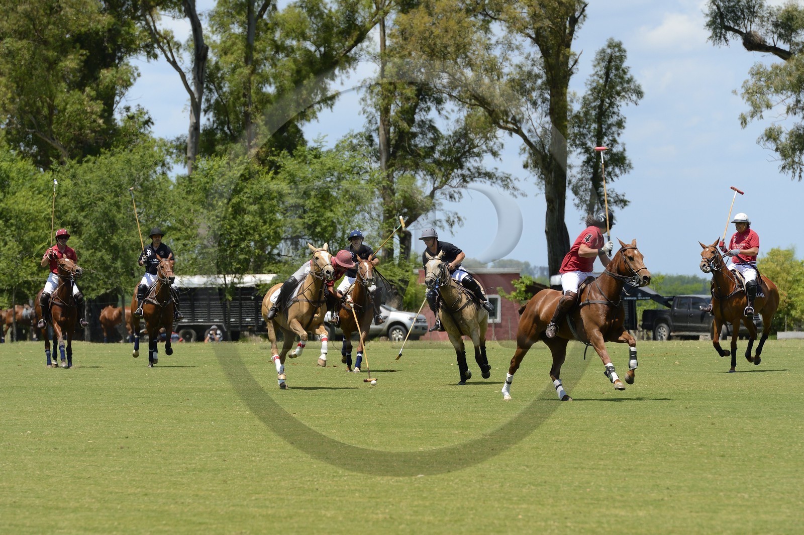 Argentine, province de Buenos Aires, San Antonio de Areco, estancia La Bamba de Areco, match de polo