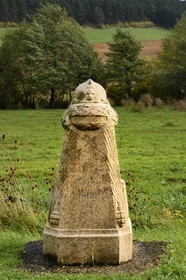 France, Meuse (55), Parc régional de Lorraine, Cotes de Meuse, Les Éparges, traces des combats d’une des luttes les plus meurtrières de la Première Guerre mondiale