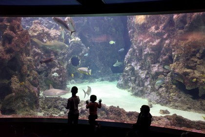 France, Finistère (29), Brest, Océanopolis