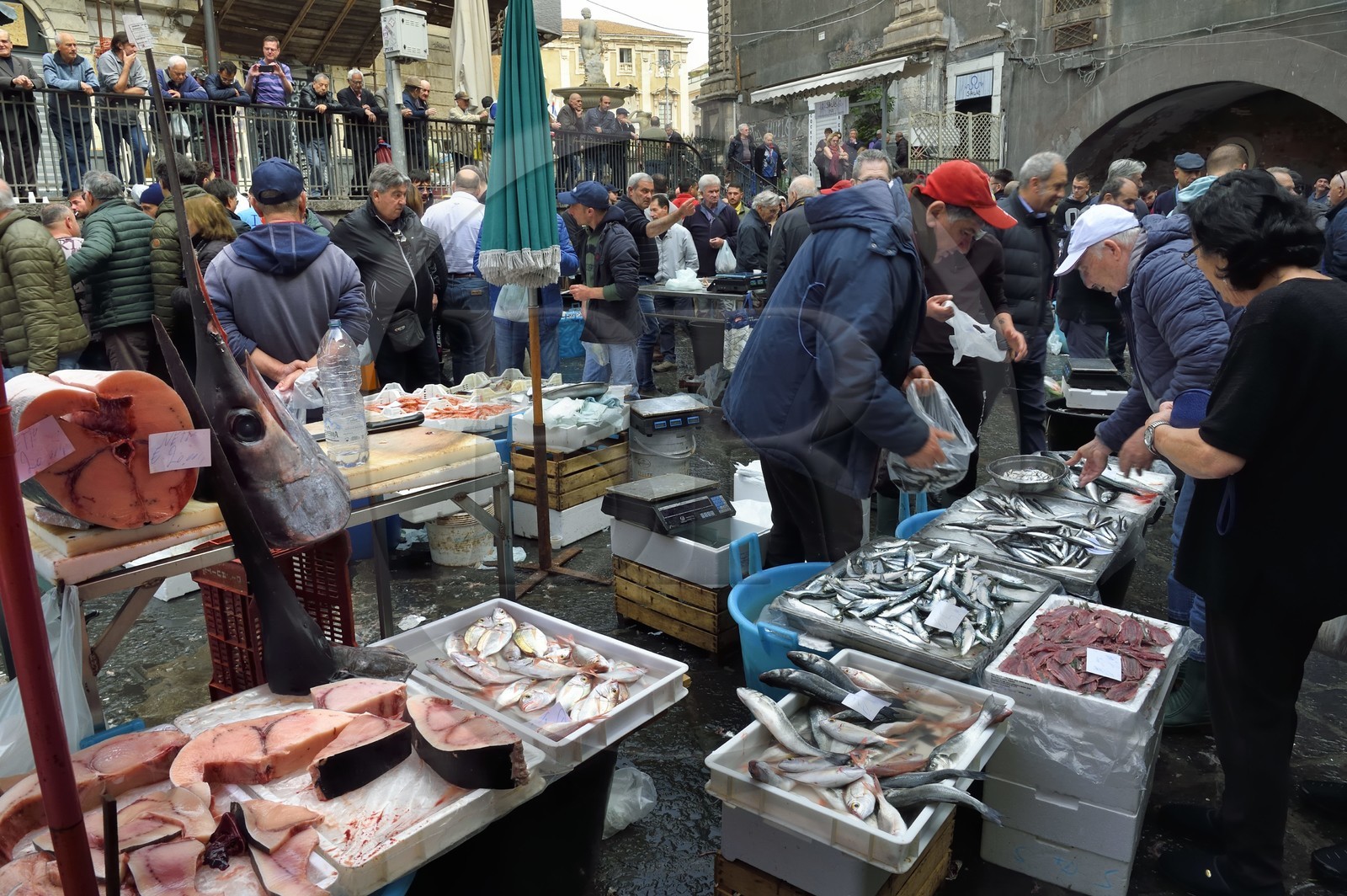 Italie, Sicile, Catane, ville baroque classée au Patrimoine Mondial de l'UNESCO, le marché aux poissons Pescheria de la Piazza Alonzo di Benedetto