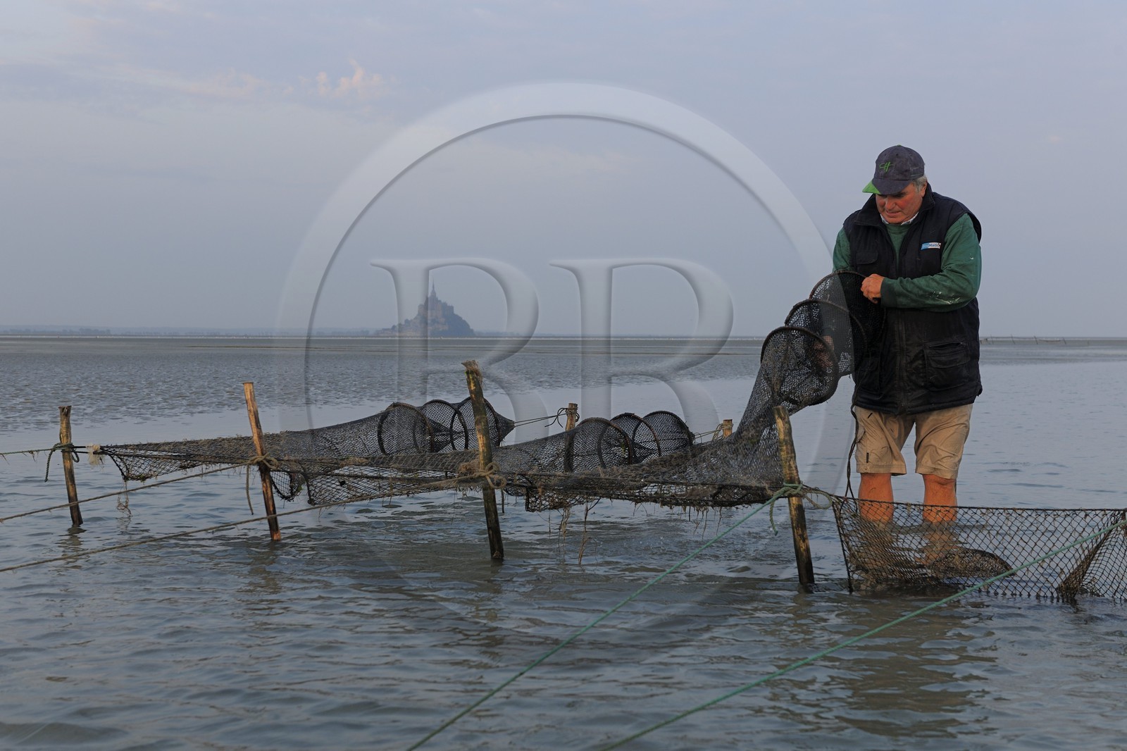 France, Manche (50), Baie du Mont-Saint-Michel, le pêcheur de grève Guy Jugan relevant ses filets de crevettes grises à l'aube