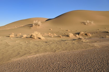 Iran, Province de Yazd, désert du Dasht-e Kavir, Moghestan, marécage desséché et dunes