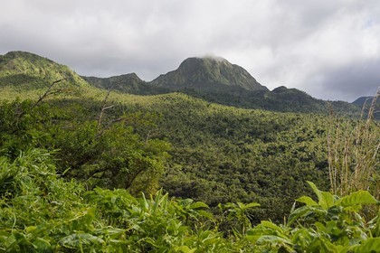 Caribbean, Dominica Island, Morne Trois Pitons National Park listed as World heritage by UNESCO,  Fresh Water Lake