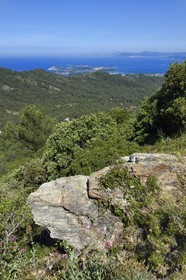 France, Var, Six Fours les Plages, hike in the Cap Sicie massif towards Notre-Dame du Mai chapel, Ile des Embiez in the background