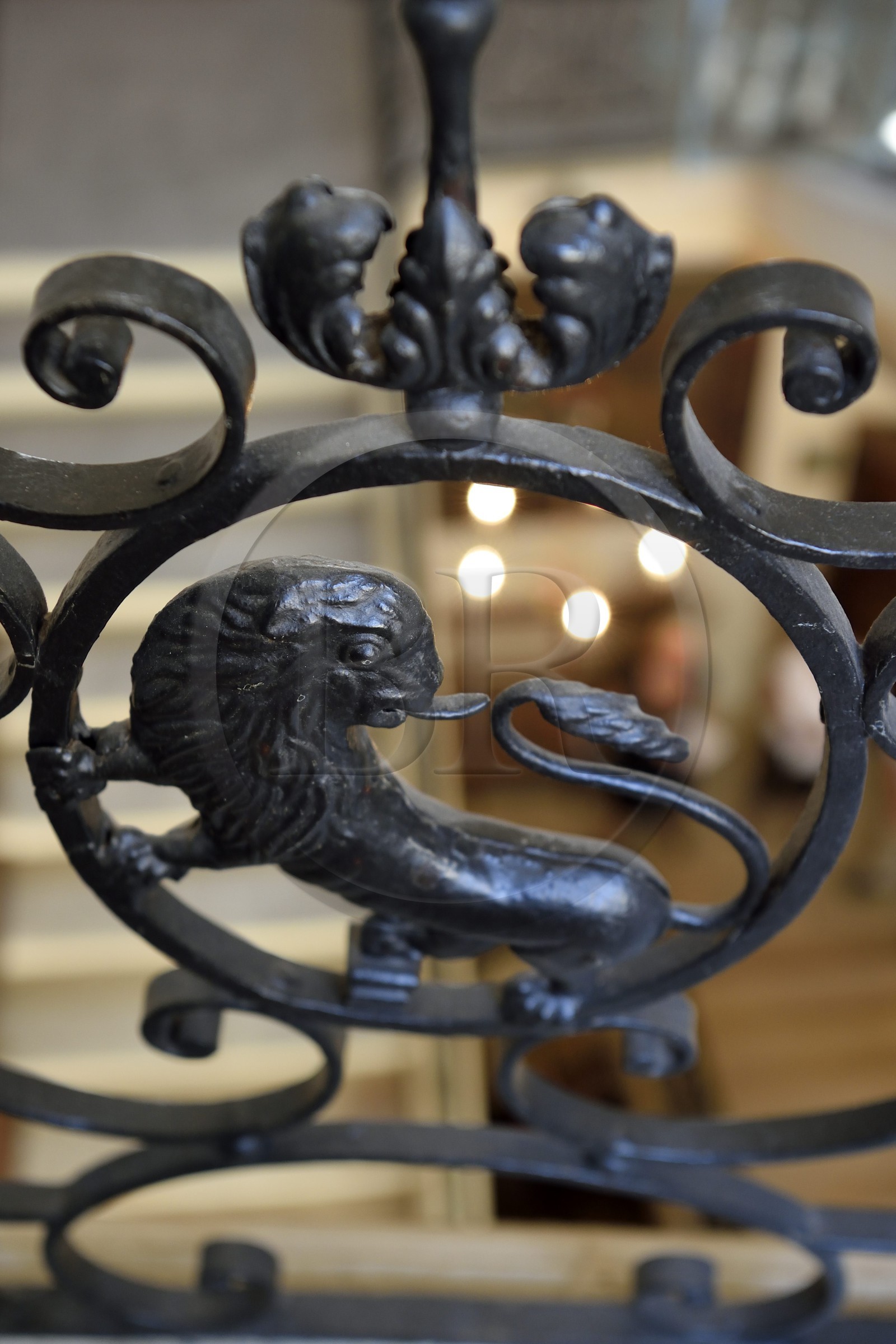 France, Bouches-du-Rhône (13), Arles, l’hotel particulier de Vernon (XVIIIe siècle) propriété de la famille Dervieux depuis quatre générations, lion décorant la rampe d'escalier
