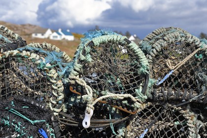 Royaume-Uni, Ecosse, Highland, Hébrides intérieures, the Ross of Mull à l'extrème sud-ouest de l'Ile de Mull, casier à crustacés sur la jetée de Fionnphort