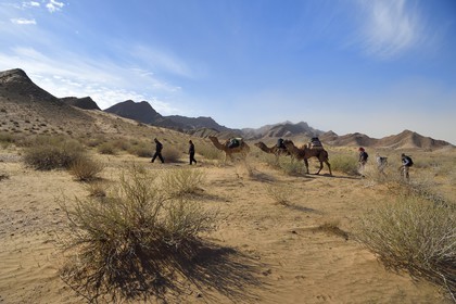 Iran, Isfahan province, Dasht-e Kavir desert, camel train around the oasis of Arousan in Khur and Biabanak County in a camel trek