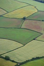 Royaume-Uni, Angleterre, Somerset, champs vers Holcombe Rogus (vue aérienne)