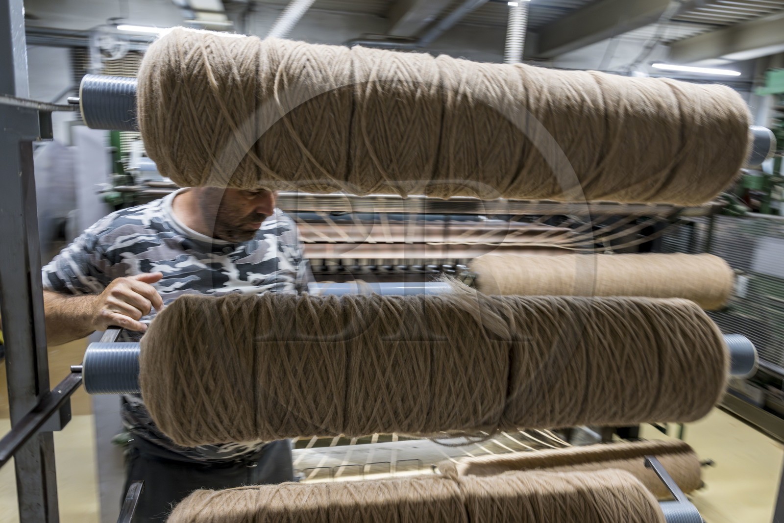 France, Vaucluse (84), L'Isle-sur-la-Sorgue, Manufacture Brun de Vian-Tiran, industrie textile lainière labellisée Entreprise du patrimoine vivant, atelier de cardage