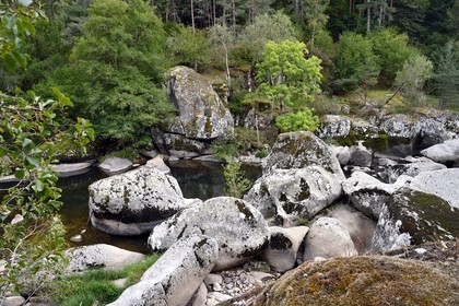 France, Lozère (48), Parc naturel régional de l'Aubrac, Saint-Juéry, les gorges de la rivière Bès