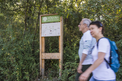 France, Var, Provence Verte (Green Provence), Bras, Academie du Bain de Foret Provencale (Academy of Forest Bathing in Provence), forest of the domaine Le Peyrourier - une campagne en Provence
