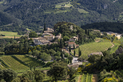 France, Vaucluse, Dentelles de Montmirail mountains, the village of Suzette surrounded by vineyards