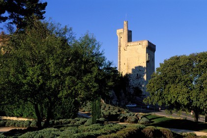 France, Gard, Villeneuve les Avignon, Philippe Le Bel's Tower