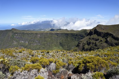 France, Ile de la Reunion, Parc National de la Réunion classé Patrimoine Mondial de l'UNESCO, volcan du Piton de la Fournaise, vallée de la Rivière des Remparts