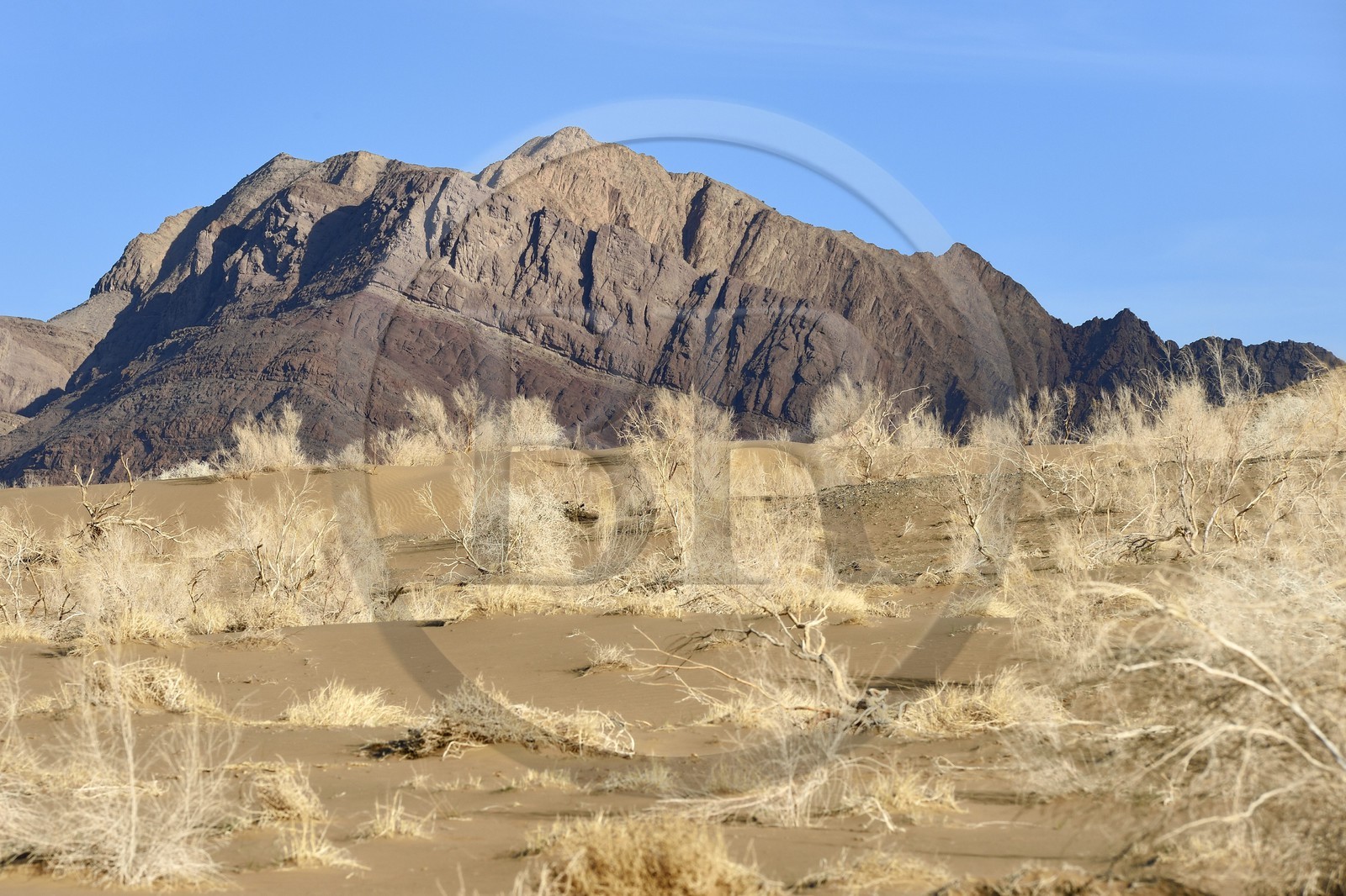 Iran, Province d'Ispahan, désert du Dasht-e Kavir, Mesr dans la région de Khur et Biabanak, dunes de sable au pied de la chaine de montagne de Dareh bidan