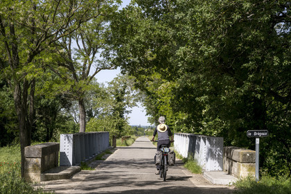 France, Vaucluse (84), Sarrians, randonnée à vélo électrique sur la véloroute Via Venaissia aménagée sur une ancienne voie ferrée