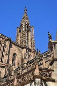 France, Bas-Rhin (67), Strasbourg, vieille ville classée au Patrimoine Mondial de l'UNESCO, la cathédrale Notre-Dame, facade sud, chien (un braque) perché sur un édicule abritant un cadran solaire (XIIIème siècle)