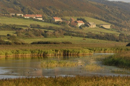 France, Manche, Cotentin, La Hague, cove of Vauville, the pool of Vauville