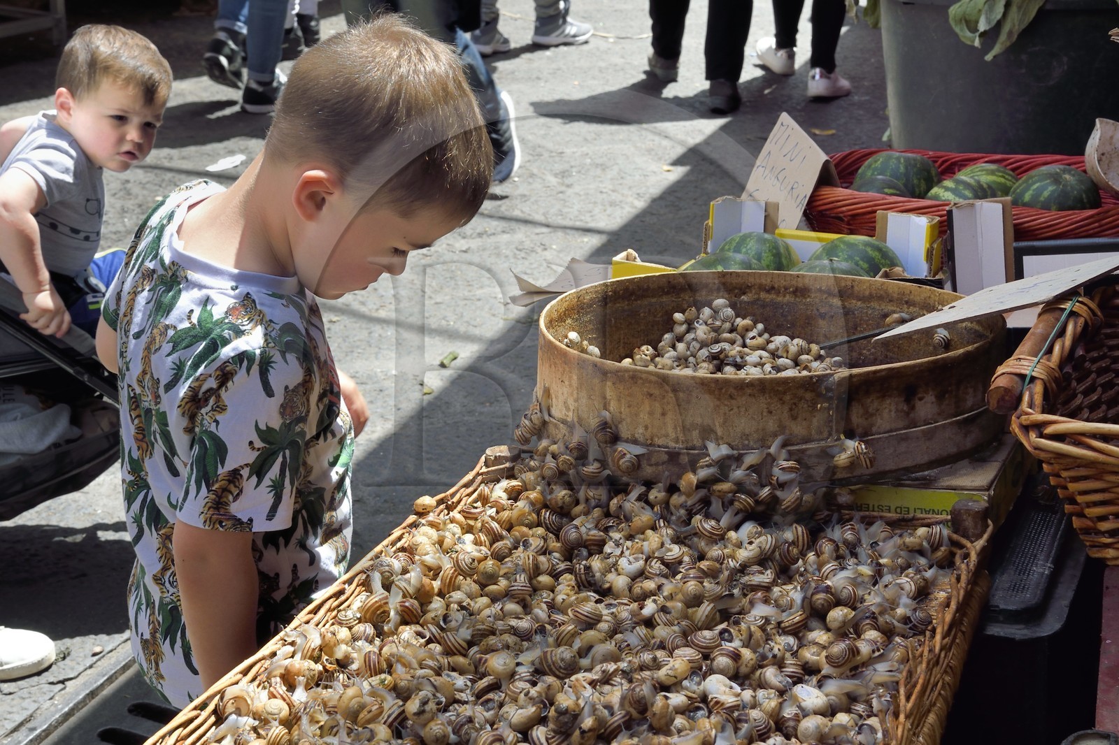 Italie, Sicile, Catane, ville baroque classée au Patrimoine Mondial de l'UNESCO, le marché du matin Pescheria dans le quartier du Duomo, vente à l'étal d'escargots vivants