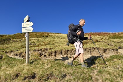 France, Cantal (15), Parc Naturel Régional des Volcans d'Auvergne, Le Lioran, randonneur montant vers le col de Rombière dominant la vallée de l'Alagnon, sur le GR4 - GR400 et sur le chemin de Saint-Jacques de Compostelle par la Via Arverna
